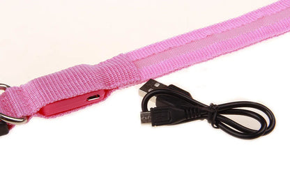 LED Dog Collar USB Rechargeable - Bright & High Visibility Lighted Glow Collar for Small Medium Large Breeds Pet Night Walking