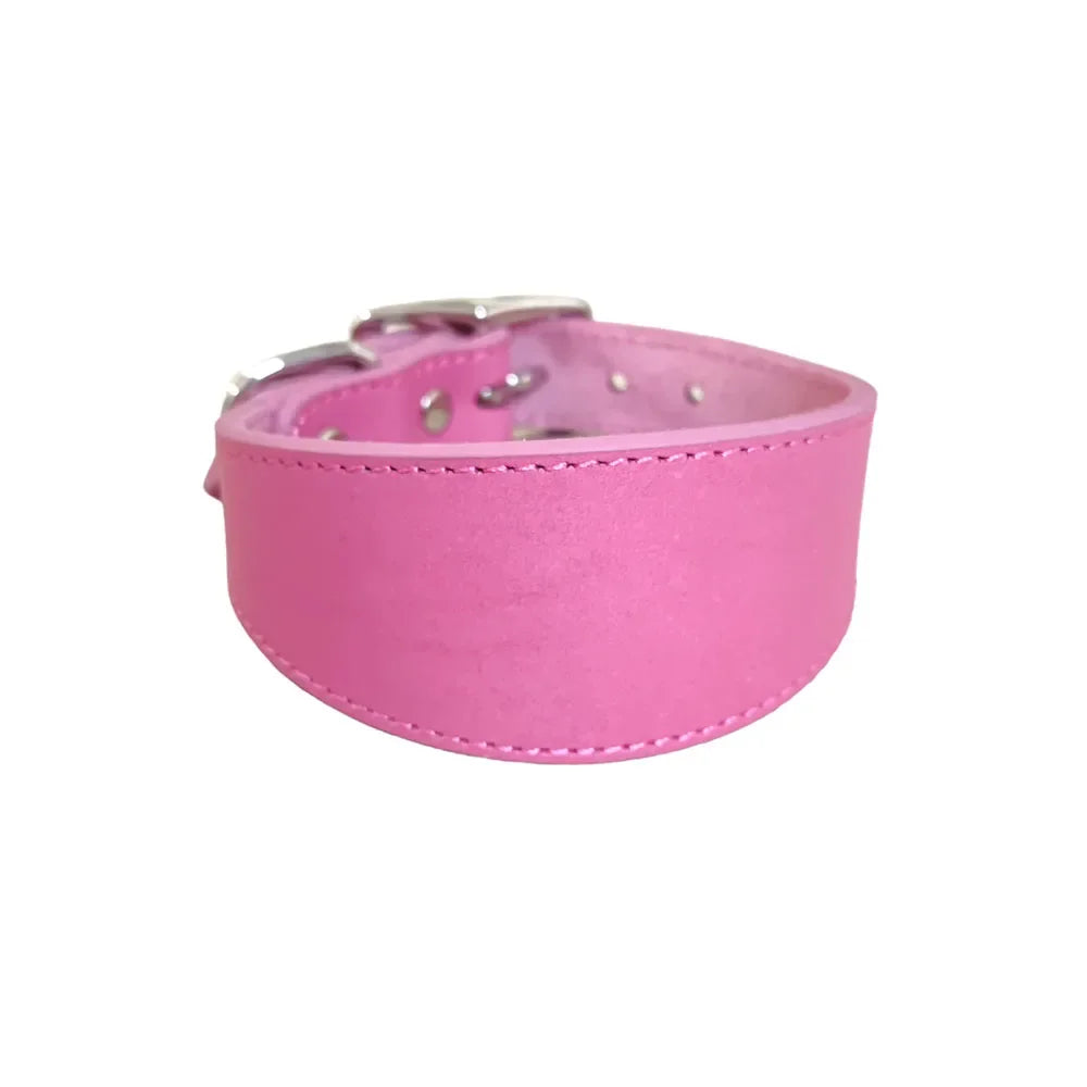 Soft Real Leather Extra Wide Padded Tapered Dog Collar Glossy Brown Black Greyhound Saluki Deerhound Lurcher Whippet Dachshund