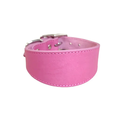 Soft Real Leather Extra Wide Padded Tapered Dog Collar Glossy Brown Black Greyhound Saluki Deerhound Lurcher Whippet Dachshund