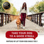 Strong Dog Prong Collar for Dogs Adjustable Detachable Dog Training Collar with Quick Release Buckle for Small Medium Large Dogs