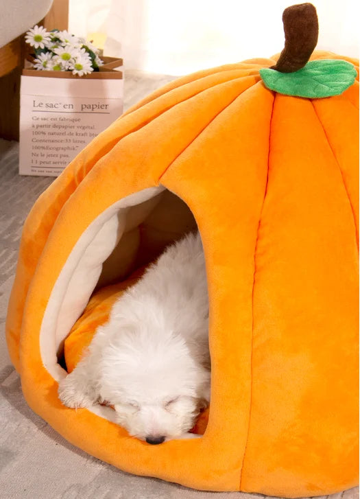 Bed for Cats Plush Beds Banana Puppy Warm Accessory Winter House Accessories Pet Basket Things Goods Houses and Habitats Dog All