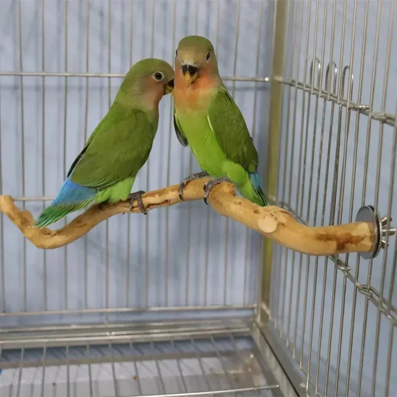 Natural Parrot Perch Bird Stand Tree Stick Paw Grinding Fork Parakeet Climbing Bird Standing Branches Toys Birdcage Accessories