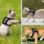 Outdoor Cat Vest Waterproof Cat Clothes Cat Chest Strap Special Vest for Walking Cats Can Be Adjusted