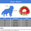 Lightweight Dog Elizabethan Collar Adjustable Soft Cones for Small Medium Dogs Cats to After Surgery Recovery Stop Licking