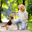 Dog Treat Hiding Toy Snuffle Ball Interactive Slow Feeder Treat Toy Slow Food Training Sniff Ball Dog Exquisite Comfortable