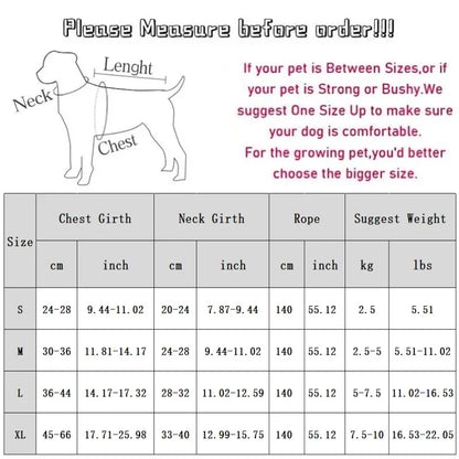 Luxury Dog Harness and Leash Set Canvas Reflective Adjustable Dog Harness Vest Dog Walking Accessories Kitten Puppy Harnesses