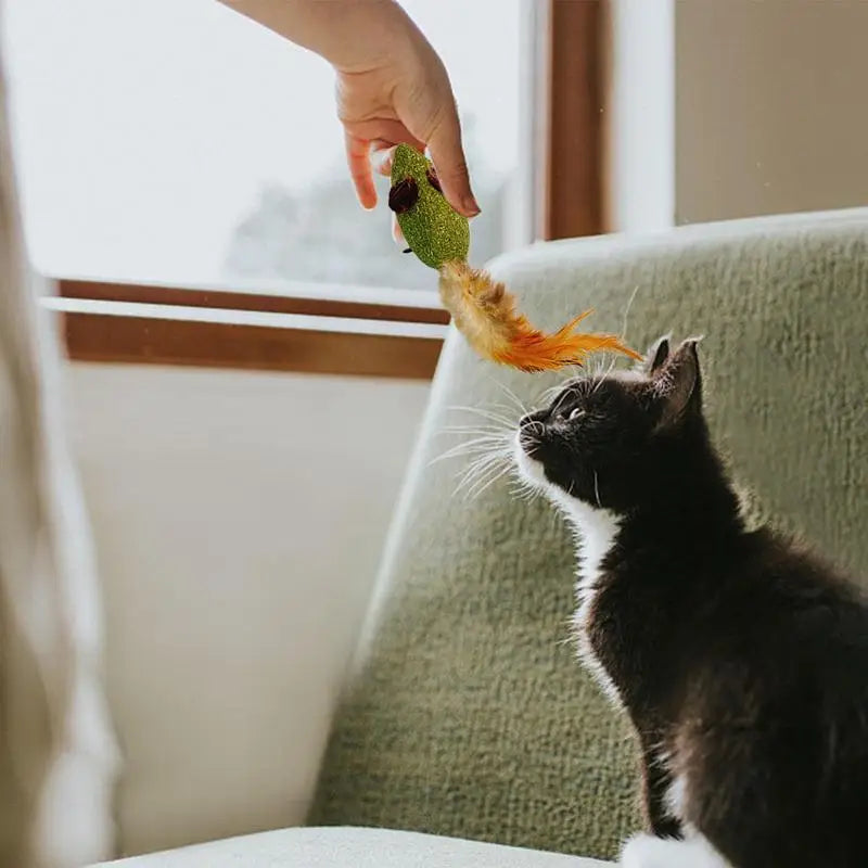 Catnip For Cat Toys Catnip Filled Cartoon Cat Teething Chew Toy Natural Catnip And Silvervine Cat Feather Kicker Toys For Indoor
