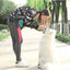 Outdoor Dog Trainings Bag Durable Poly 8 Colors Treat Bag  Dog Walking Snack Pouch Detachable Puppy TrainSnack Reward Waist Bag