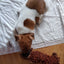 Pet Dog Plush Toy Animal Shape with Squeaky for Small Dogs  Puppy Chew Cleaning Toys  dog toy dog accessories