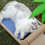 Pet Lounge Chair Portable Solid Cat Hammock Nest Beds Wooden Frame Swing Chair Multifunctional Kitten Raised Bed Cat Lounger