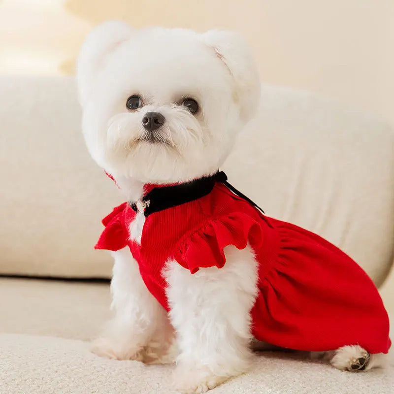 fancy dog christmas dresses Womens Next Brown/Cream Christmas Pudding Dog Fancy Dress M-L (US 8-14)