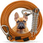 Dog Tie Out Cable Leash with Spring, Double-Headed Steel Wire Rope, Outdoor Dogs Straps, Running Rope for Small Big Dogs