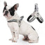 Breathable Y Shape Dog Harness Adjustable Step In Pet Harness Vest for Puppy Small Large Dog Chest Harness Reflective Dog Collar