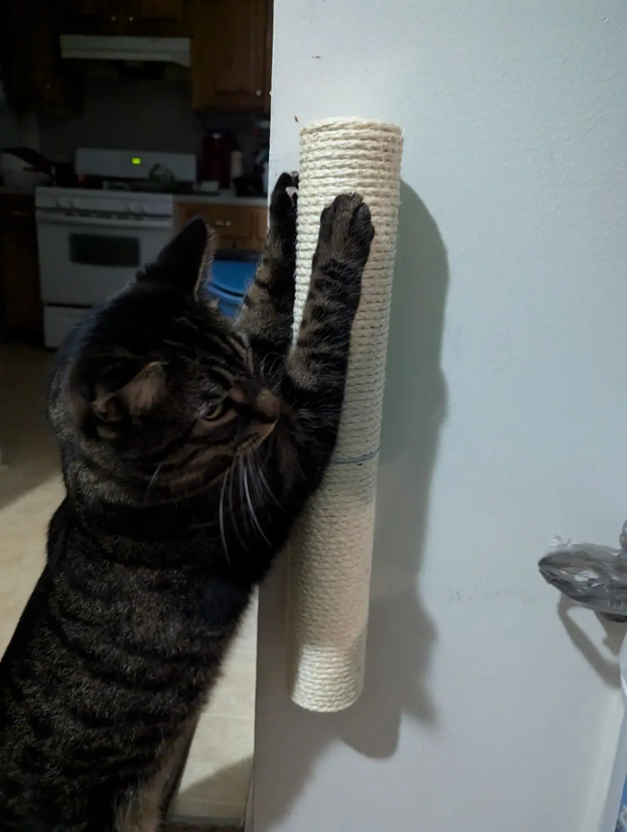 Cats Tree Climbing Shelves Cat Perch Wall-Mounted Wooden Platform For Cats & Kitten Big Steps Scratching Post For Grinding Claws