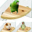 Fan-shaped Bird Parrot Wooden Stand Rack Bird Cage Accessories Perch for Small Animal Chinchilla Squirrel Hamster Stand Board