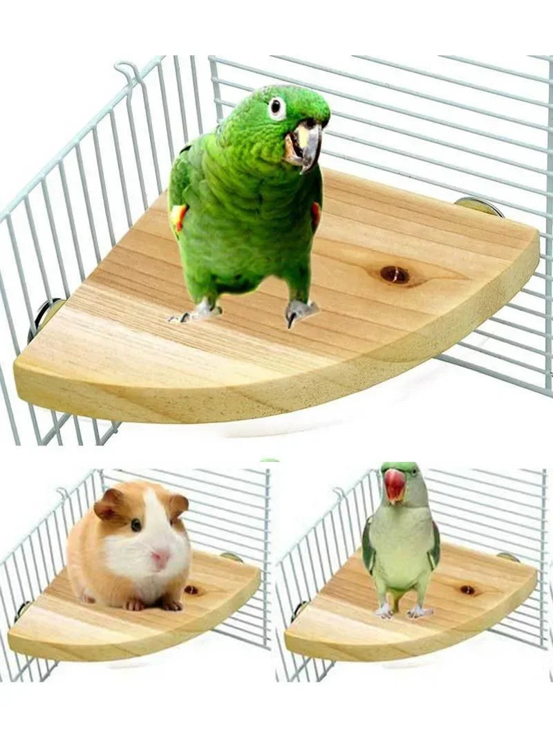 Fan-shaped Bird Parrot Wooden Stand Rack Bird Cage Accessories Perch for Small Animal Chinchilla Squirrel Hamster Stand Board