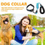 Reflective Dog Collar Adjustable Neck Collars With Rope Kit For Pet Puppy Weatherproof Dog Collar Padded Suitable Puppy Collar