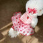 Luxury Summer Dog Dress Princess Style Chihuahua Bichon Korean Striped Skirt Lace Puppy Costume 2025 New Summer Fashion for Dogs