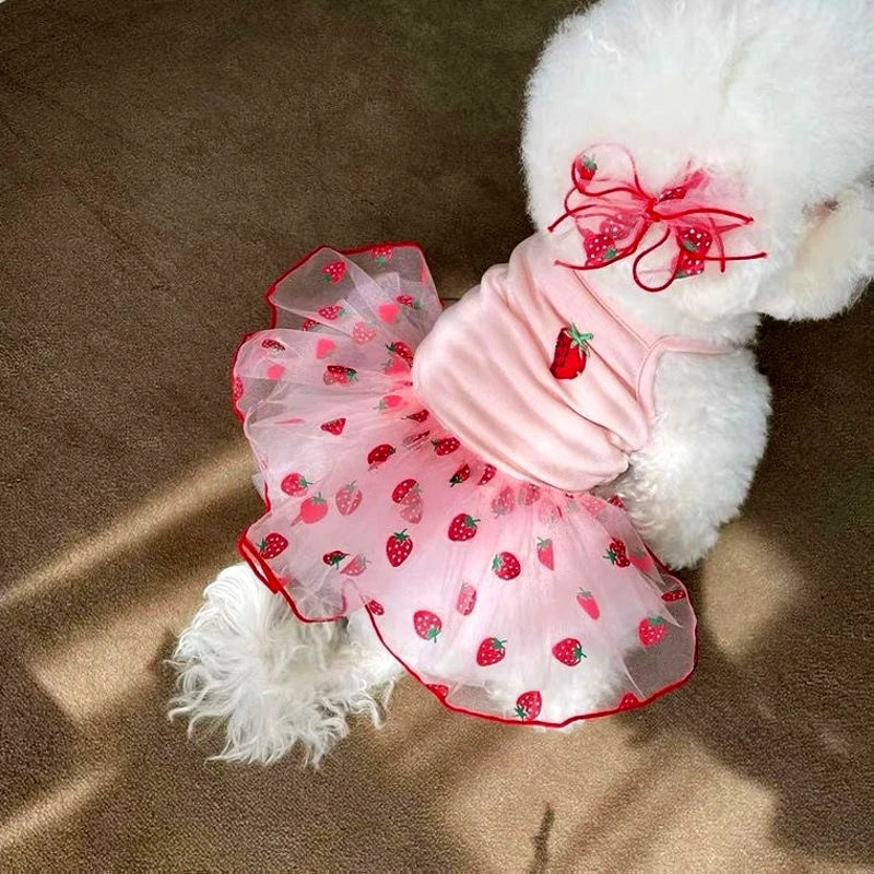 Luxury Summer Dog Dress Princess Style Chihuahua Bichon Korean Striped Skirt Lace Puppy Costume 2025 New Summer Fashion for Dogs