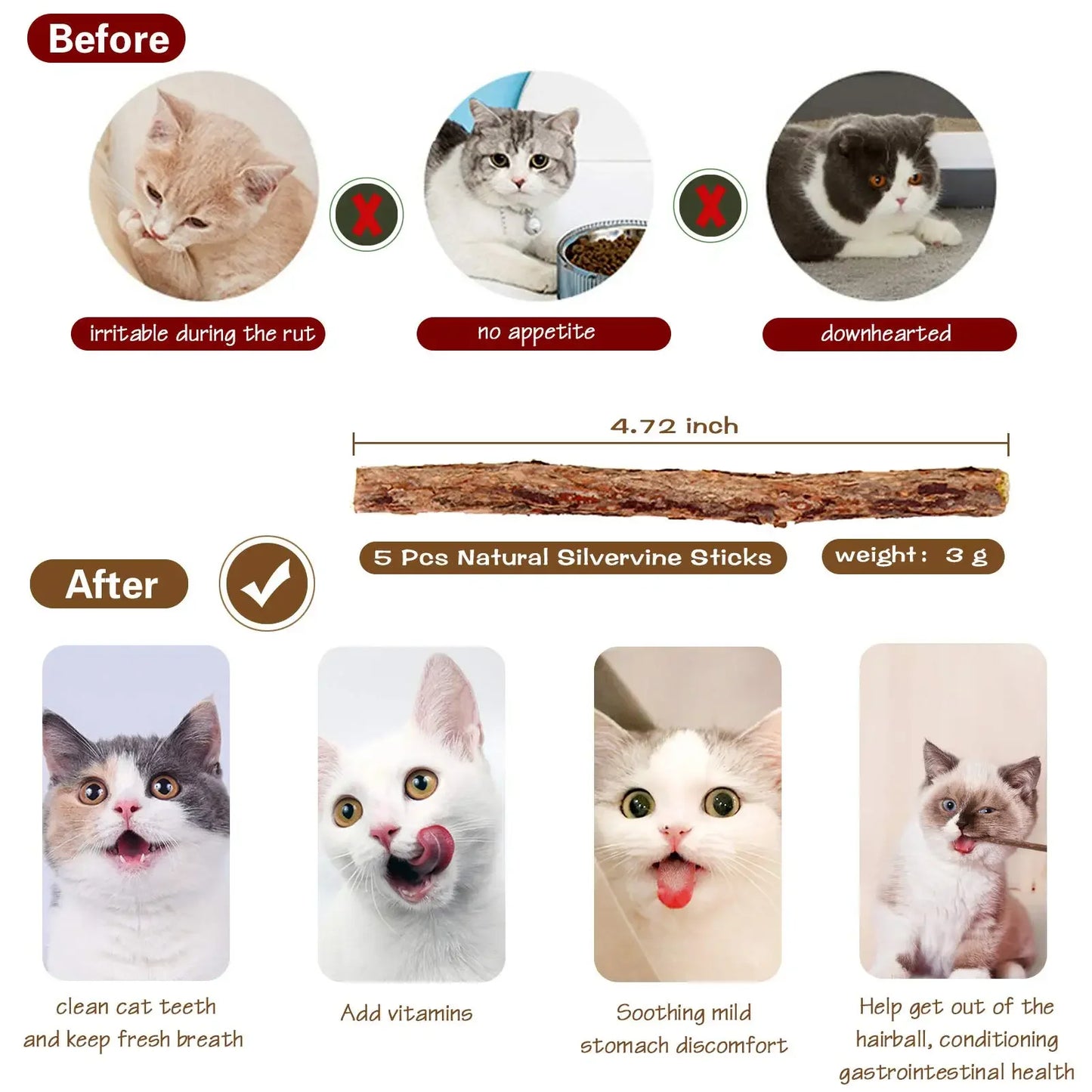 Fashion Cat Wand Toy, Natural Wooden Cat Teaser Wand for Cat, Interactive Elastic String Cat Stick Pole Toy for Indoor Cats
