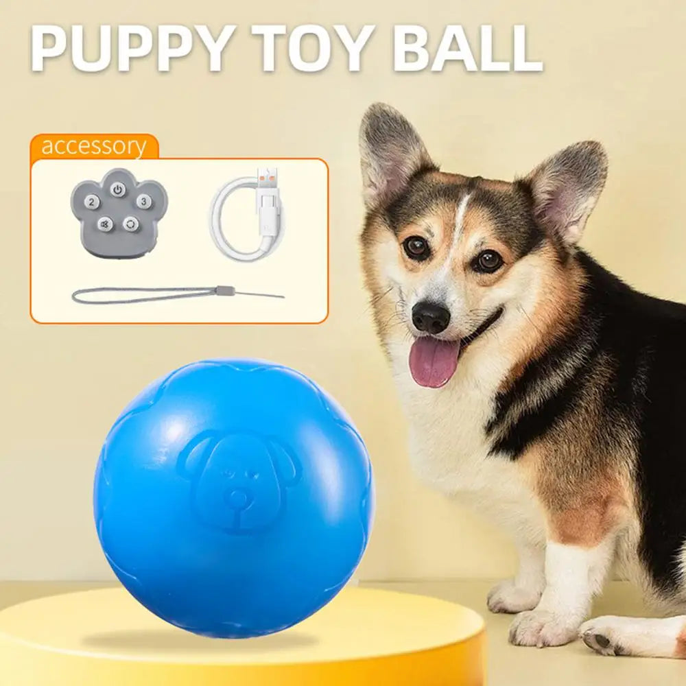 Automatic Rolling Ball Toys Safe Dog Toy Balls Bite Resistant Dog Toys Puppy Toys Fun Interactive Play for Pet Dog Puppy
