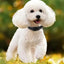 Reflective Dog Collar Adjustable Cat Collar Safety Nylon Pet Collar Durable Comfortable Reflective Pet Collar Pet Supplies