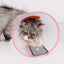 A Pet Dog And Cat Collar Large Dog Medium Dog Small Dog Bite Ring Anti-scratching Collar Recovery Collar