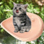 Suction Cup Cat Bed Window Indoor Cat Perch Seat Hammock Suction Cup Design Cat Shelves For Marble Smooth Glass And Sheet Metal
