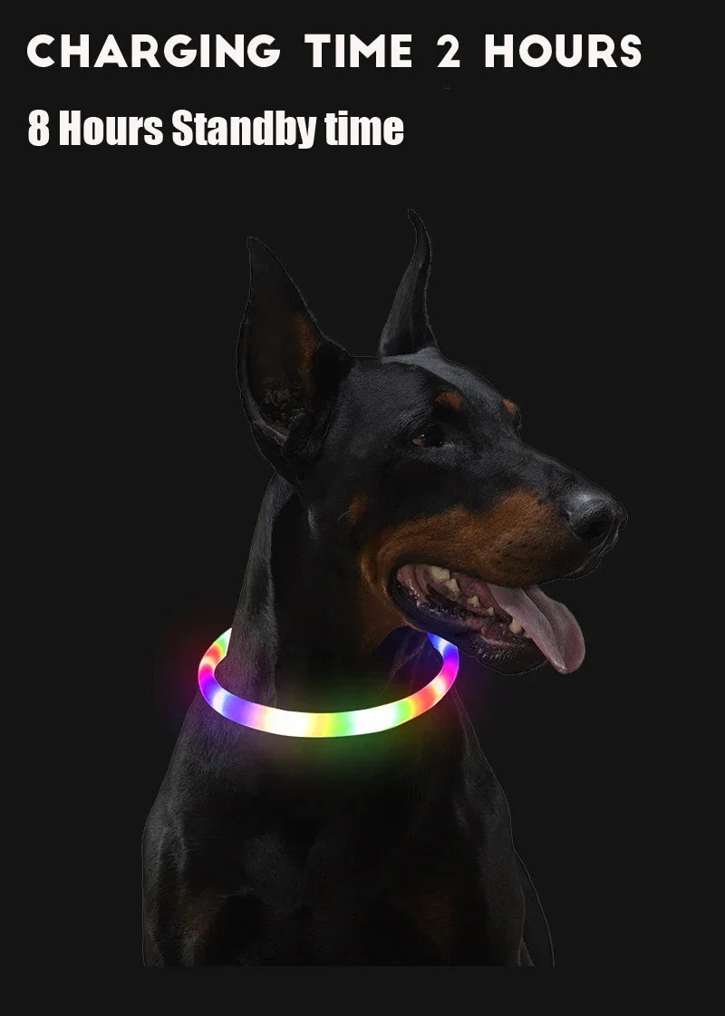 Dog Collar Luminous Usb Cat Dog Collar 3 Modes Led Light Glowing Loss Prevention LED Collar For Dogs Pet Dog Accessories
