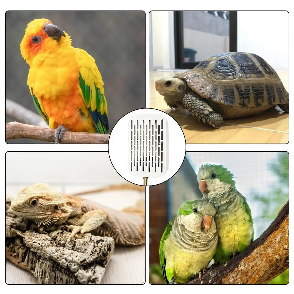 Bird Warmer For Cage Bird Heater Simulates Natural Environment Lighting Bird Lamp Simulates Natural Environment For Parrots