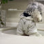 Letter Hoodie Pet Clothing Dogs Fashion Cotton Dog Clothes Costume Small French Bulldog Print Spring Autumn Gary Boy Mascotas