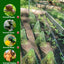 5Pcs Growth Box Planting Tent Reusable Square Use Plant Clock Cover To Protect Plants From Bird Frost and Snail Damage Green