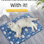 Cats Cooling Beds Accessories Things Cushions Pet Supplies Bed Kitten House Accessory Houses and Habitats Puppy Goods