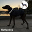 Italian Greyhound Hound Whippet Clothes Winter Turtleneck Dog Coat Thicken Padded Down Puffer Jacket for Medium Large Dogs