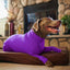 Dog Onesie Clothes Shedding of Dog Hair for Home Car Travel Anxiety Calming Shirt Surgery Recovery Body Jumpsuit for Large Dogs