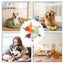 Plush Squeaky Dog Toys Interactive Chewing Squeaky Toy for Puppy Squeaky Dog Chew Toy Disc Shape Plush Dog Toys for Puppies