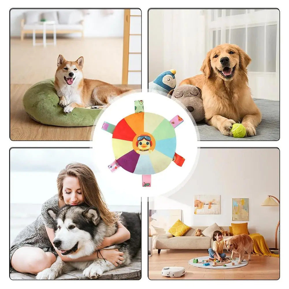 Plush Squeaky Dog Toys Interactive Chewing Squeaky Toy for Puppy Squeaky Dog Chew Toy Disc Shape Plush Dog Toys for Puppies