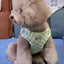 Waterproof French Bulldog Pet Vest Harness for Small Medium Dogs High Quality Puppy Pinscher Dog Harnesses mascotas Accessories