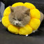 Elizabethan Collar For Cats Adjustable Cotton Sunflower Shape Collar Protective Collar For Small Cats & Dogs Cute Breathable Eli