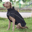 Dog Cold Weather Jackets Waterproof Dog Winter Clothes Comfortable Adjustable Dog Clothes Stylish Reflective Pet Supplies For