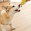 Squeaky Pet Toys Dog Plush Sound Chew Toys Bbiscuit Shape Animal Squeaky Dog Chewing Toy Plush Dog Toys Puppy Chewing Sound Toy