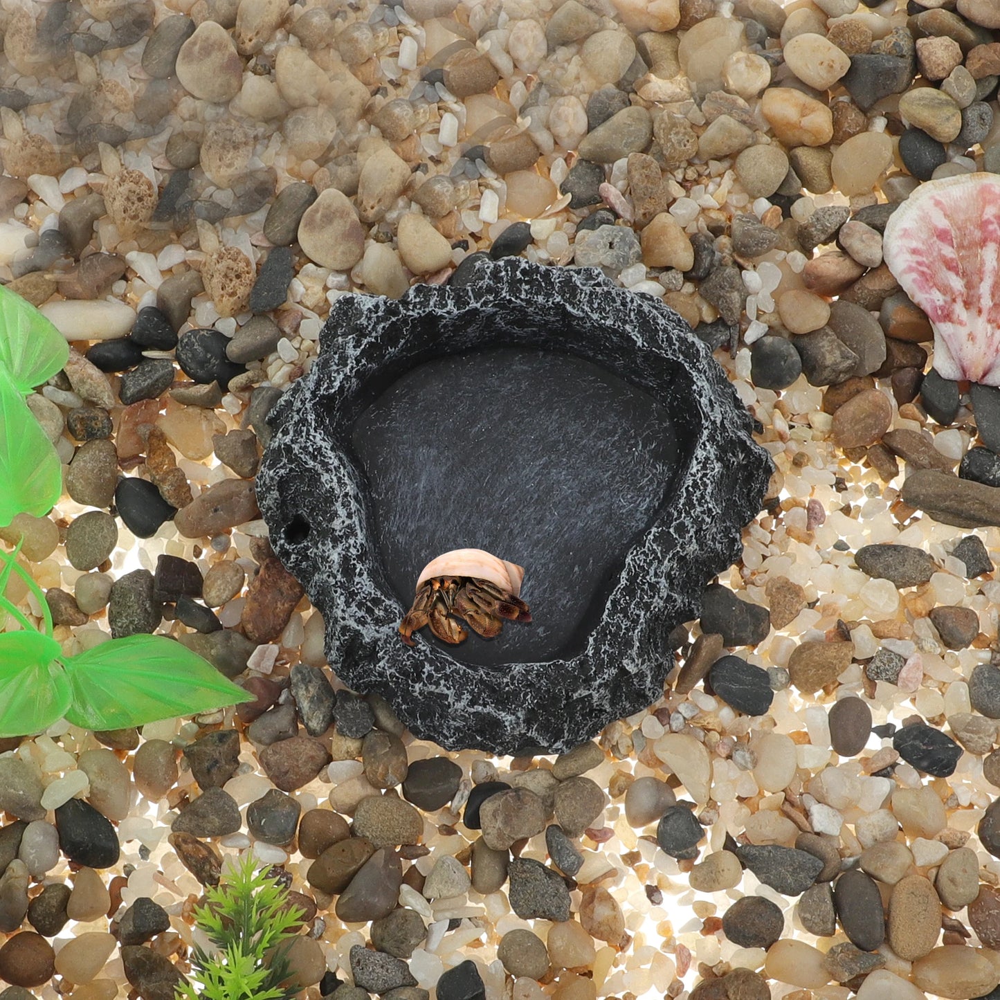 UXCELL Aquatic Reptile Pet Feeder Food Dish Lizard Turtle Resin Food Bowl Tortoise Scorpion Crabs Food Water Pots Tank Decor