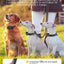 ROJECO Electric Dog Training Collar Digital Rechargeable Remote Control IPX7 Waterproof Vibrator Pet Dog Bark Stop Shock Collar
