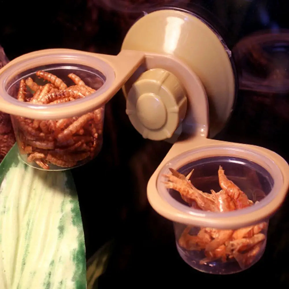 Reptile Feeder Suction Cup  Double Bowl Gecko Feeder Reptile Feeding Cup Chameleon Feeding Food Bowl For Reptiles Food And Water