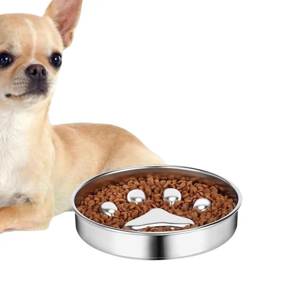 Dog Food Bowl Anti Rust Cat Food Bowl Oven Fridge Safe Pet food Container Dish for Small Medium Size Dogs for Indoor Outdoor
