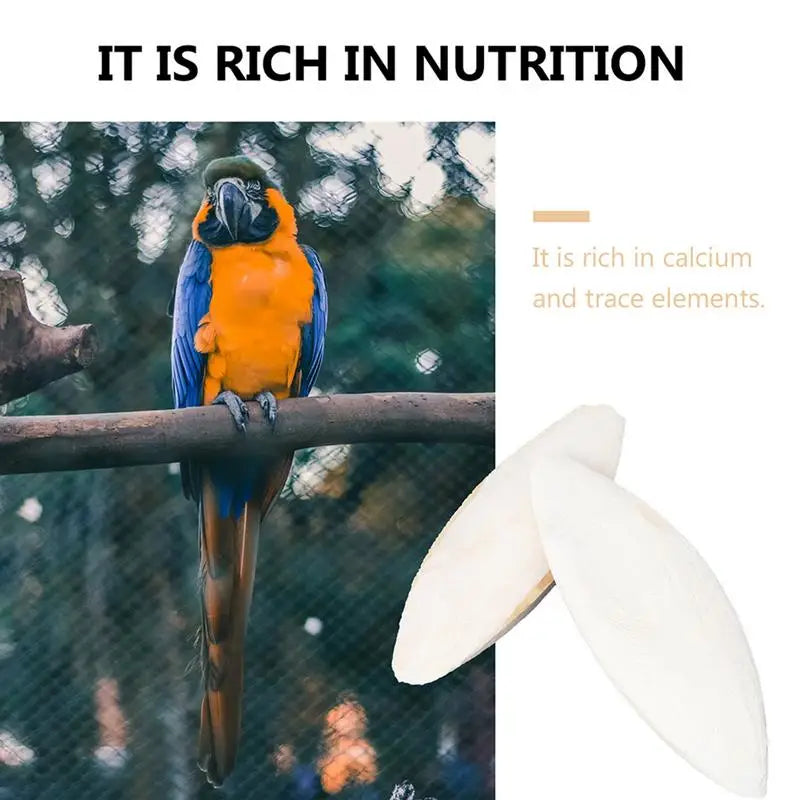 Natural Cuddle Bone Parrot Chew Toys Chewing Cuttlefish Bone Bird Cuttlebone Environmental Protective Toy