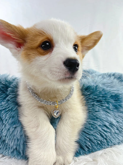 Soft Puppy Cat Collar with Heart Diamond Pendant Adjustable Luxury Reflective Bling Rhinestone Collar Crystal for Cats Small Dog