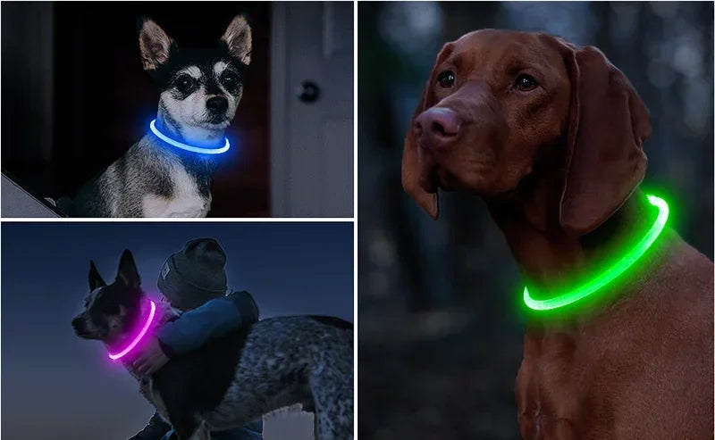 Dog Collar Luminous Usb Cat Dog Collar 3 Modes Led Light Glowing Loss Prevention LED Collar For Dogs Pet Dog Accessories