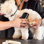 Professional Pet Deshedding Brush Multifunctional Pet Groom Brush Ergonomic Pet Groom Brush Dog Hair Remover Deshedding Tool