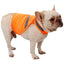 Dog Safety Vest Reflective Dog Vest Night Safety Fluorescent Dogs Clothes Safety Vest Outdoor Training Running Vest Pet Supplies